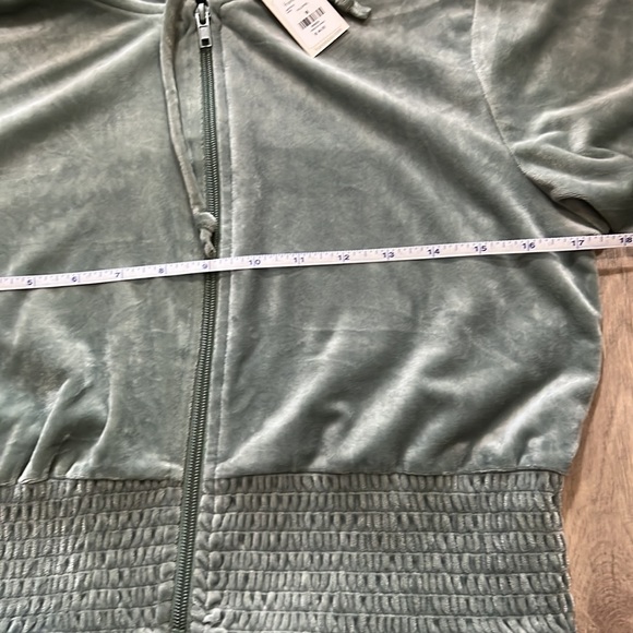 Francesca’s Mya Velour Full Zip Hoodie in Sage Green - Picture 8 of 14